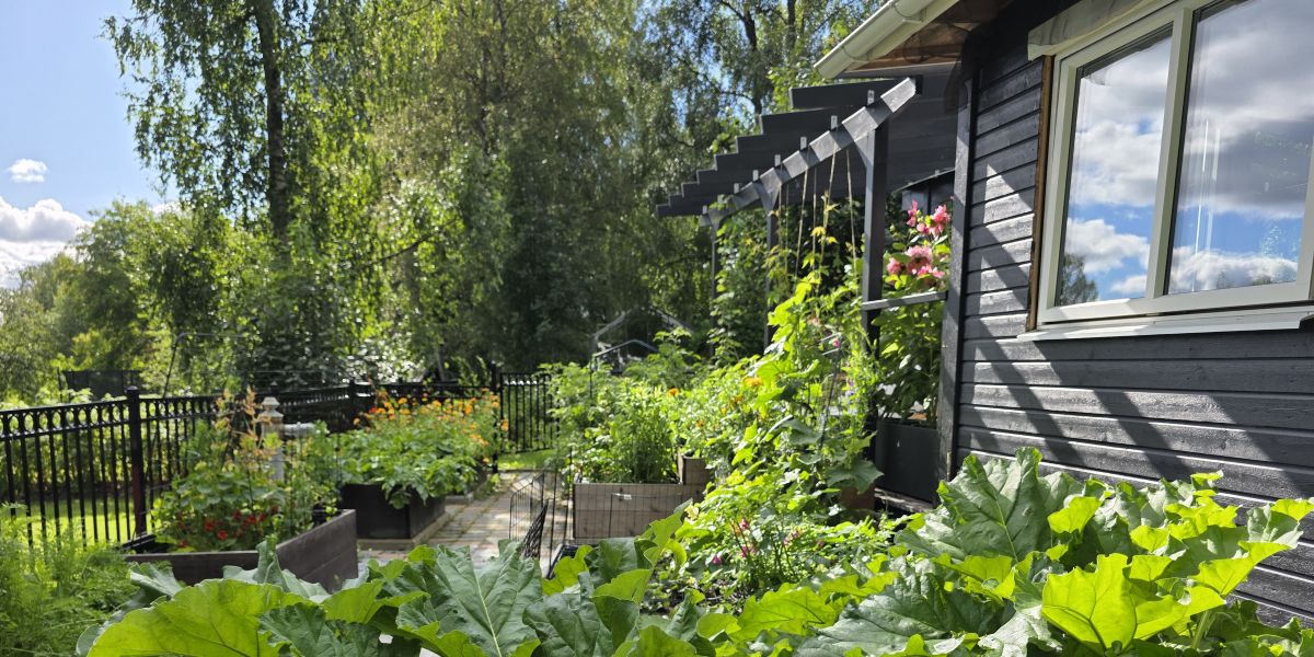 Köksträdgården