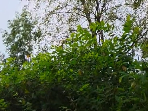 Vilka övertygelser begränsar dig?