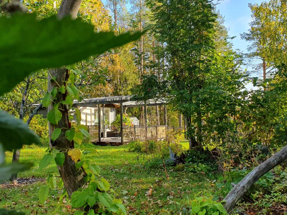 Gårdshuset tidig höst